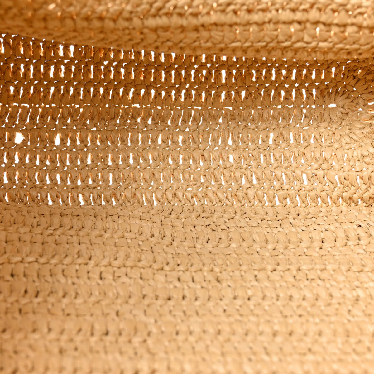 Raffia Rive Gauche Tote Natural