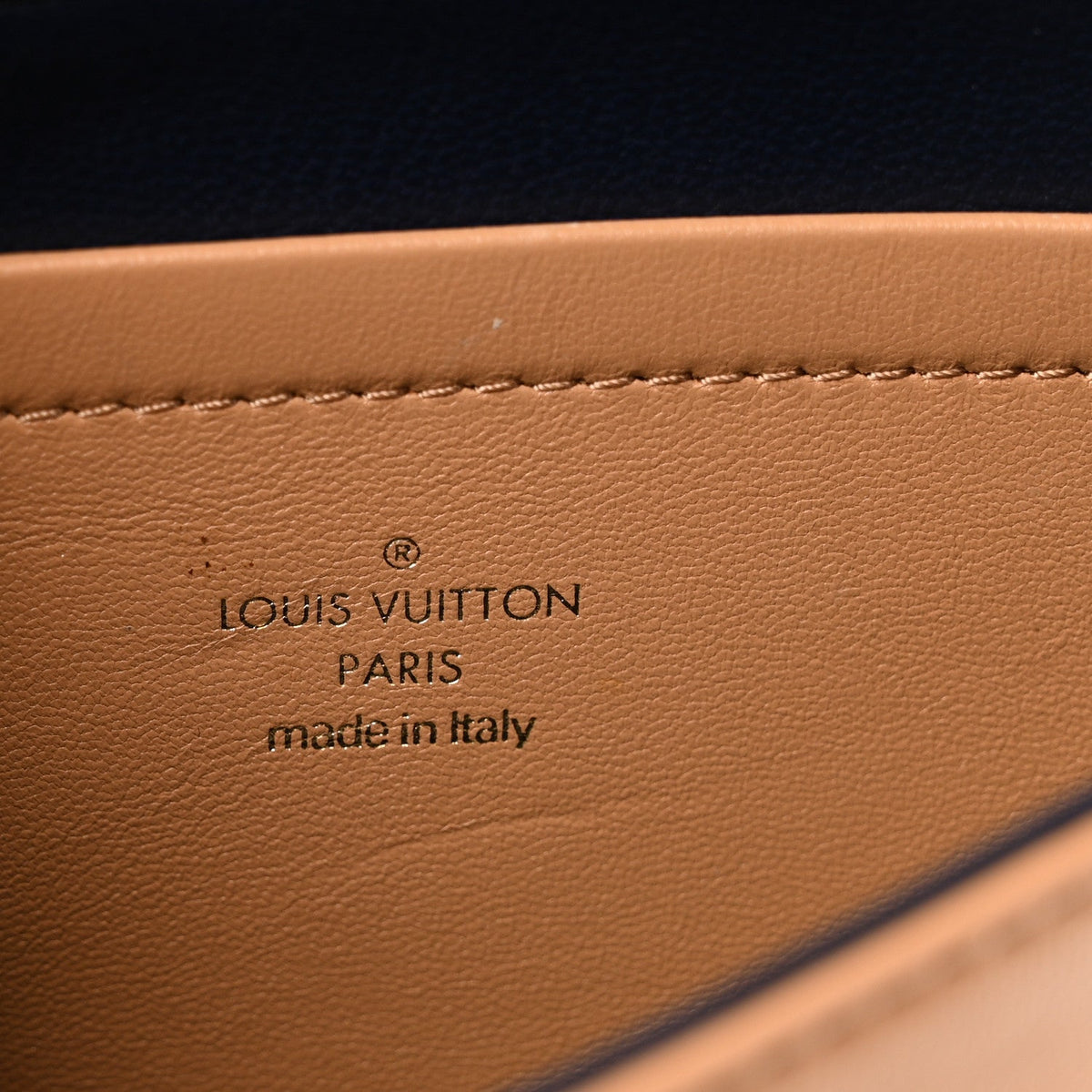 Lambskin Embossed Monogram Pochette Coussin Camel